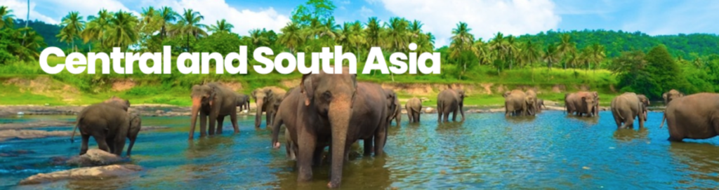 Elephants are in a lake- Traveling Advice Central and South Asia