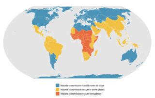 Malaria Information - Risk Areas in World Map