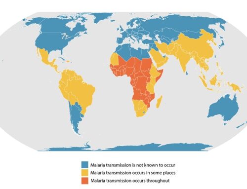 Malaria Information
